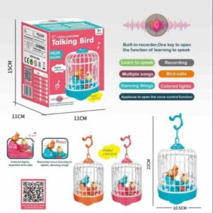 RECORDING BIRD PINJRA